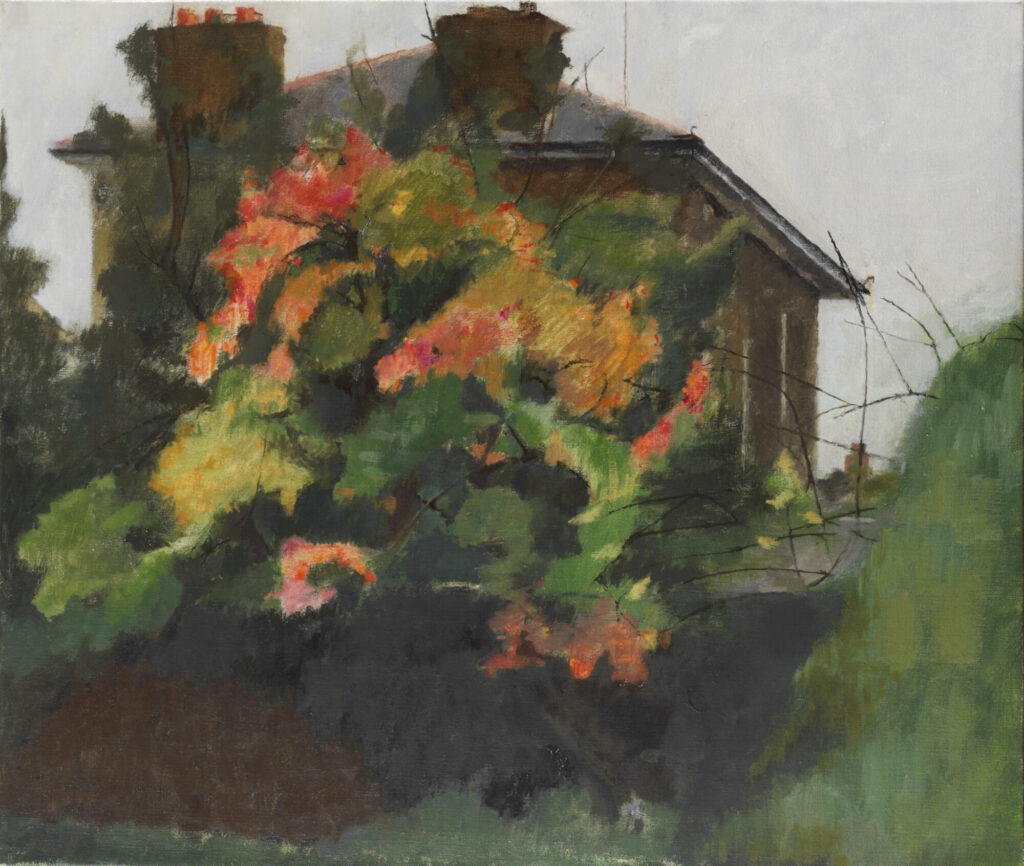 Vibrant foliage in autumn hues surrounds a partially obscured house, evoking a sense of natural beauty and tranquility.