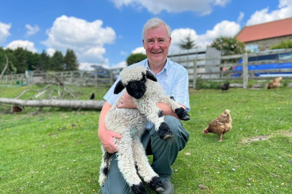 A man in a blue shirt holds a fluffy lamb, with chickens and green fields under a bright blue sky.