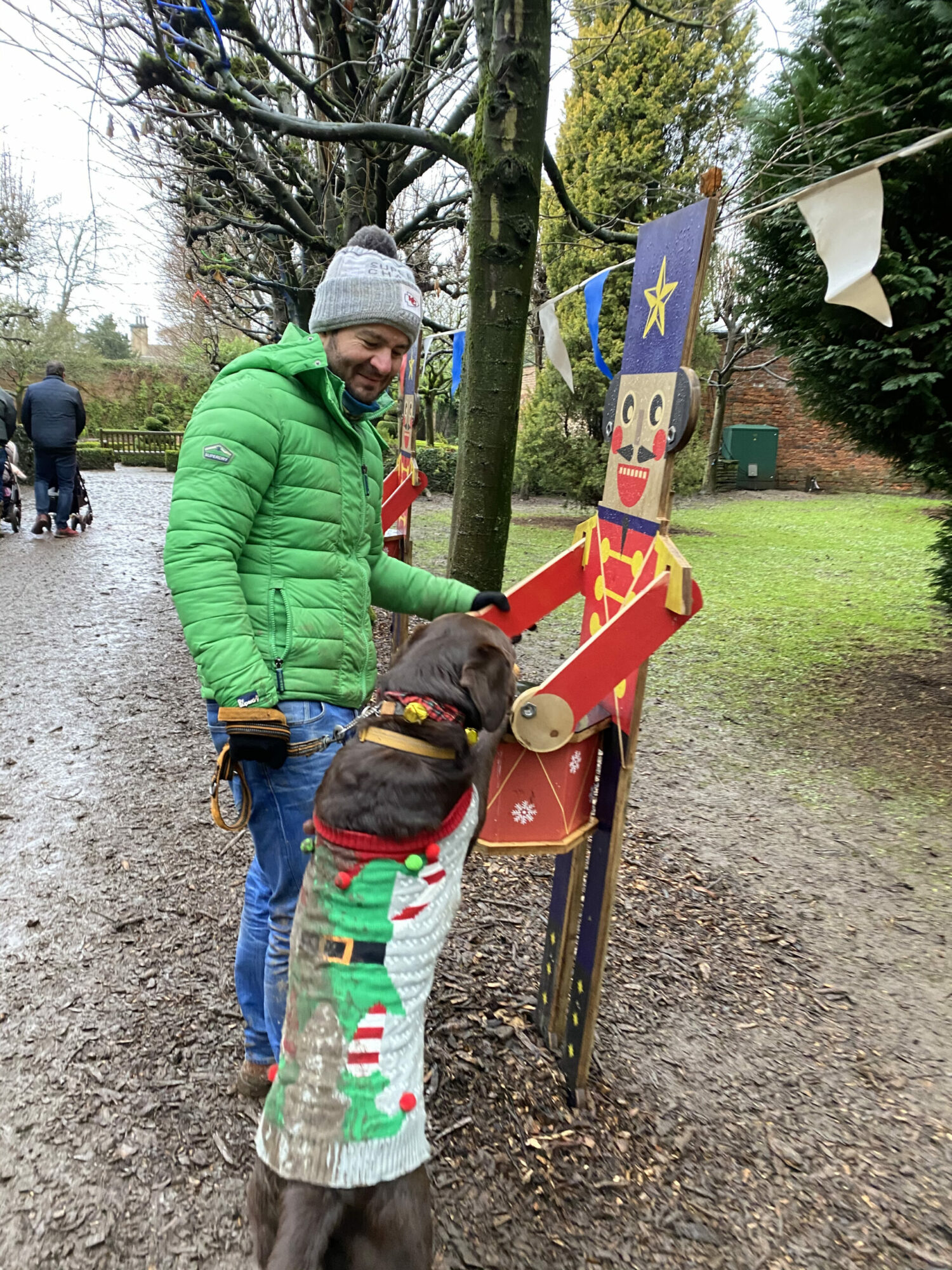 dog in christmas jumper