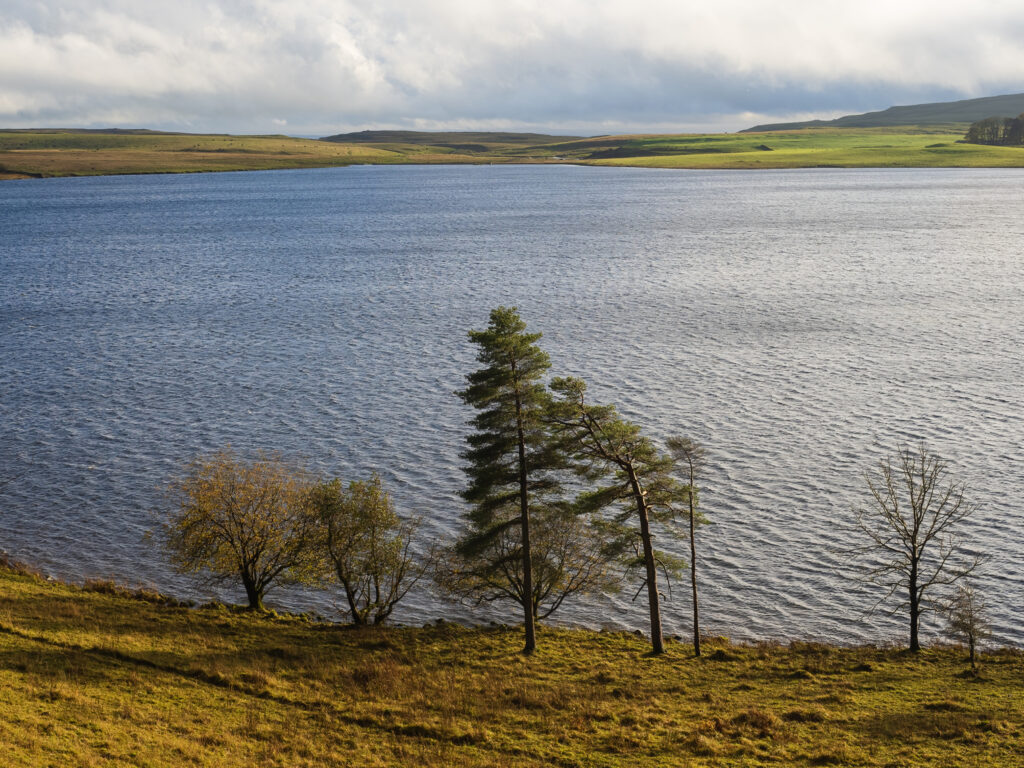 Malham Tarn