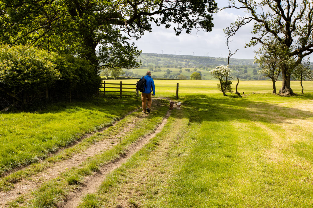 walking through fields
