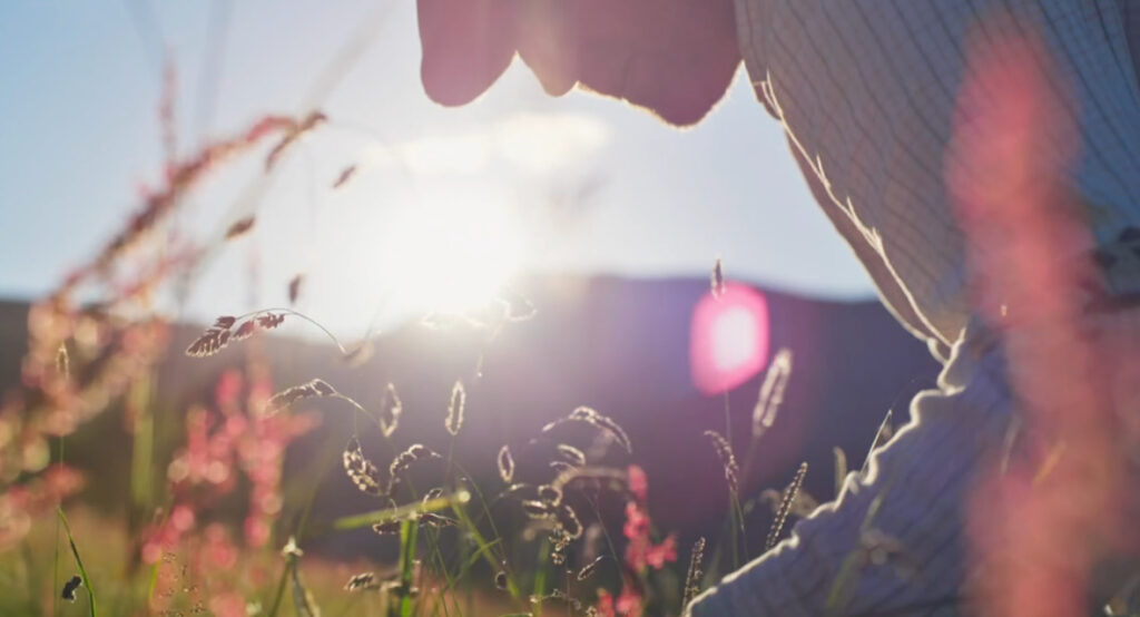 BBC Wild Isles Malham