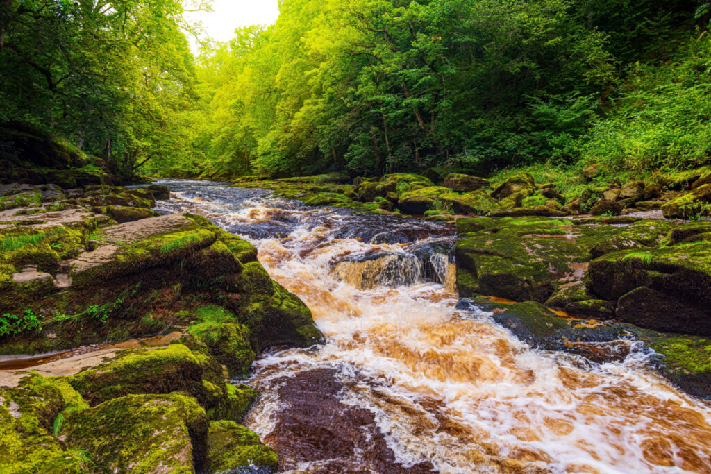 The Strid, Bolton Abbey