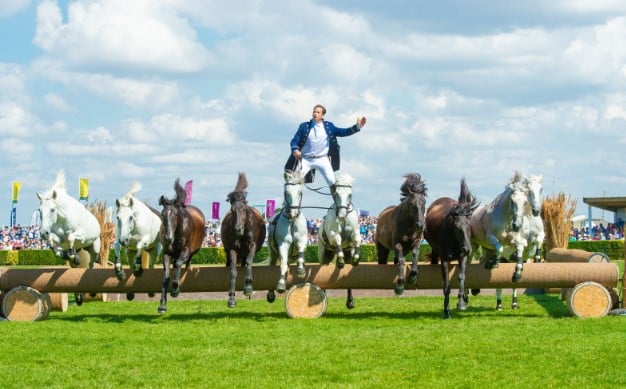 The Great Yorkshire Show