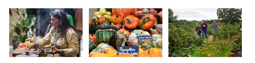 RHS Festival Of Flavours