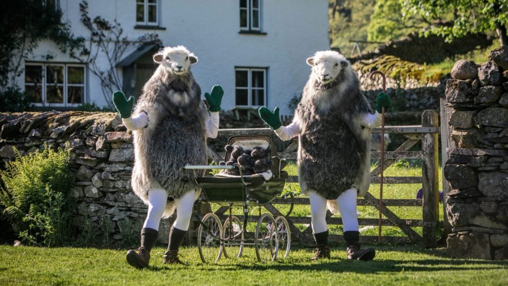 Dancing Sheep In York