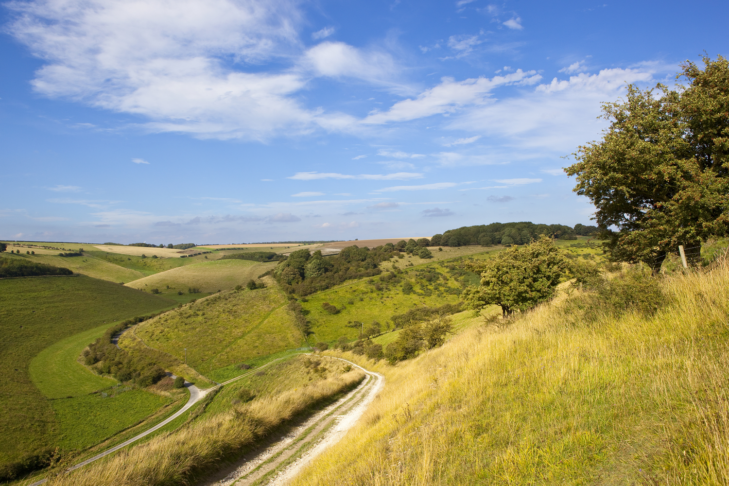 8 Best Winter Walks in East Yorkshire