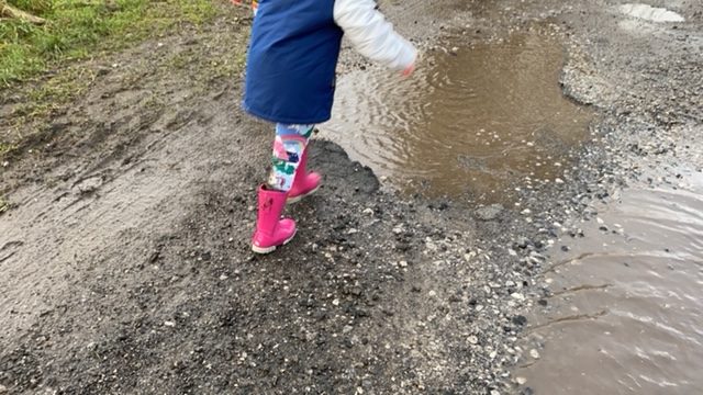 Five Things That Always Happen on a Walk With Children