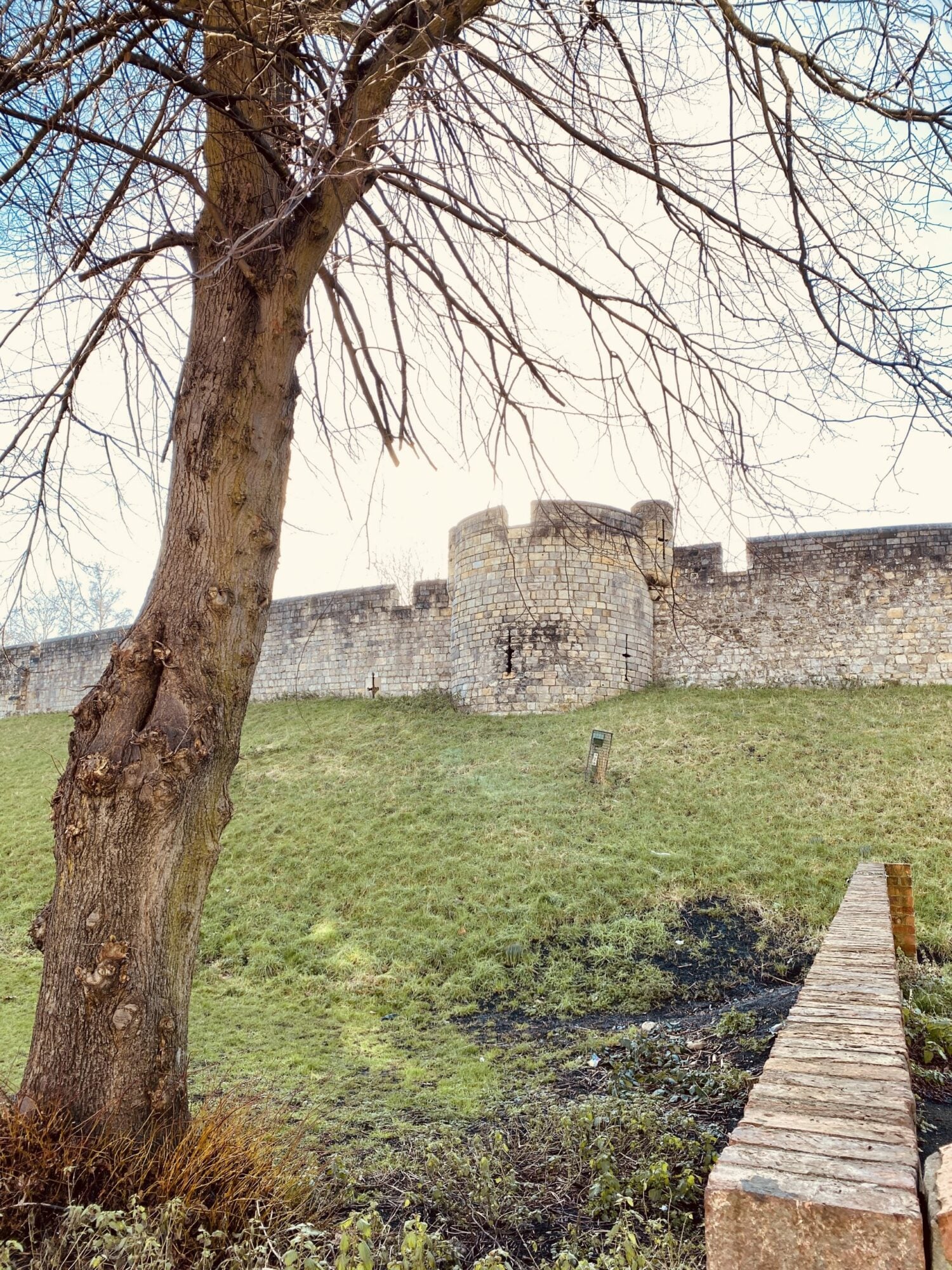 Walking around the York City Walls with Kids