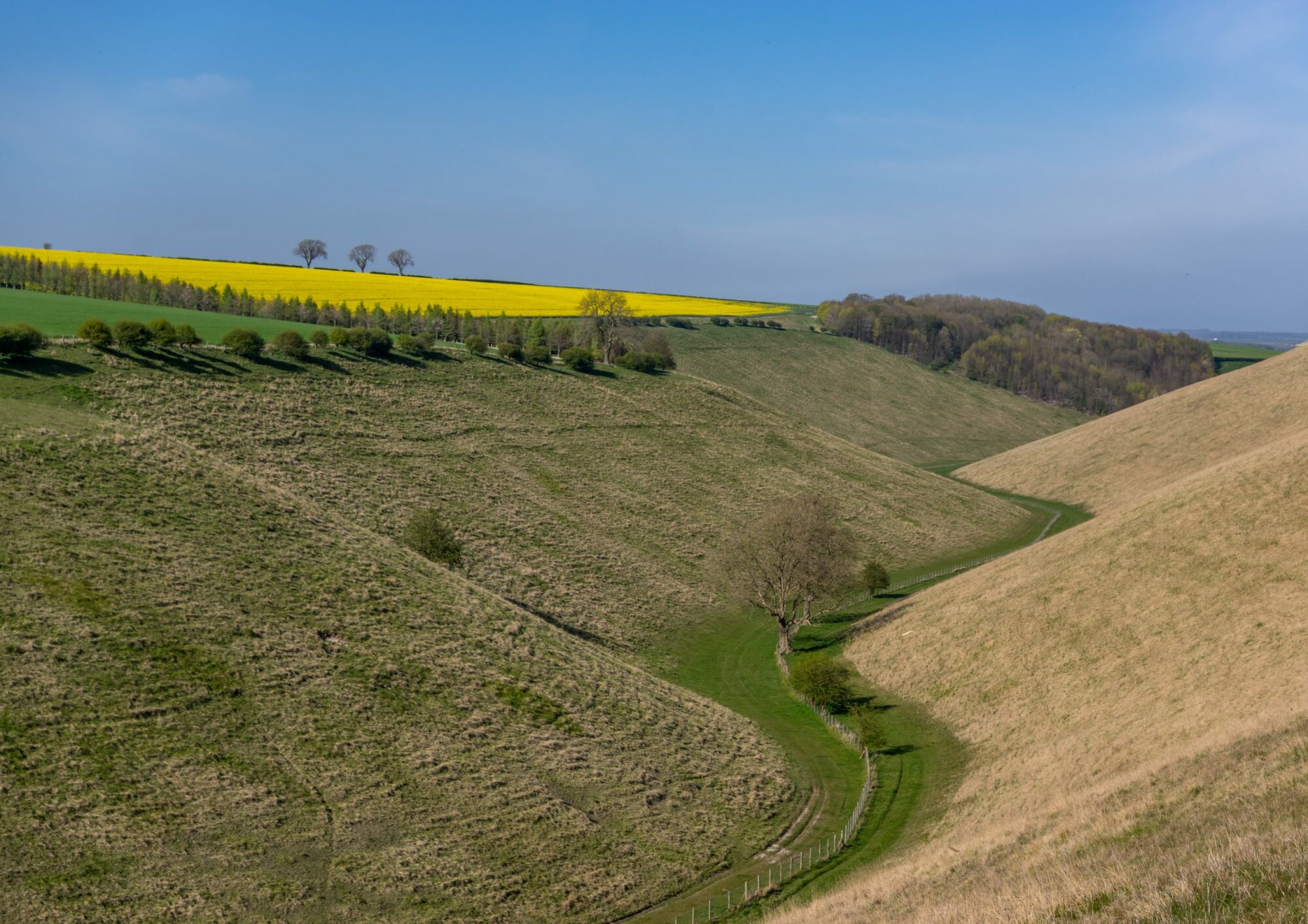 7 Walks in the East Riding of Yorkshire