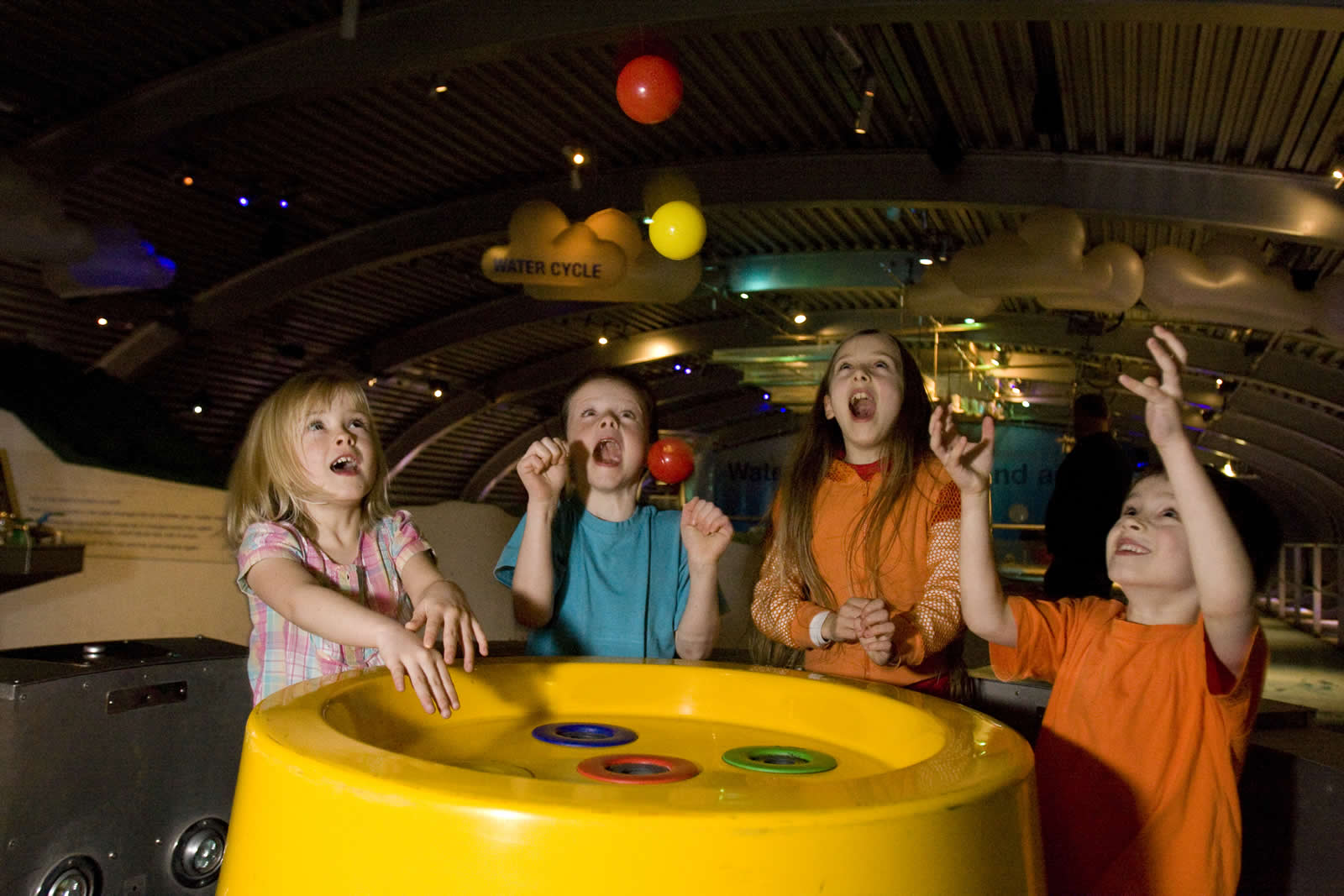 Go Wild - in Yorkshire