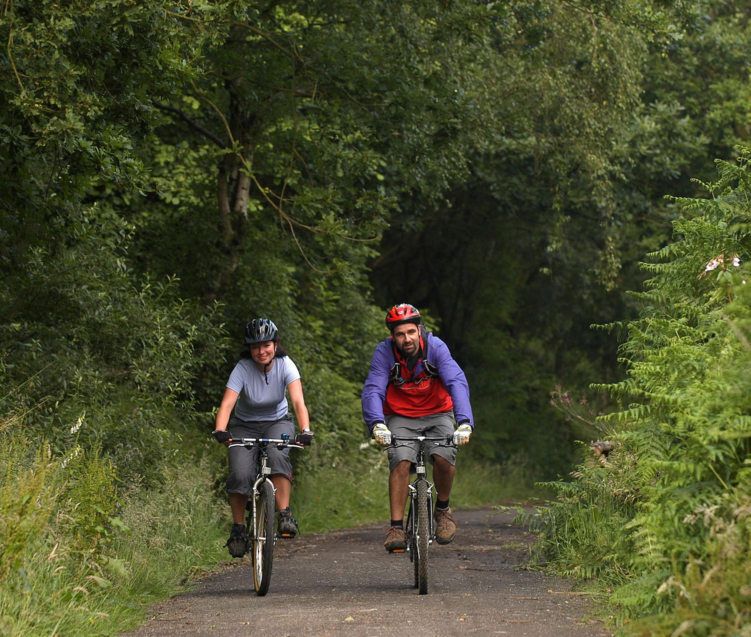 Top 10 On Wheels Experiences