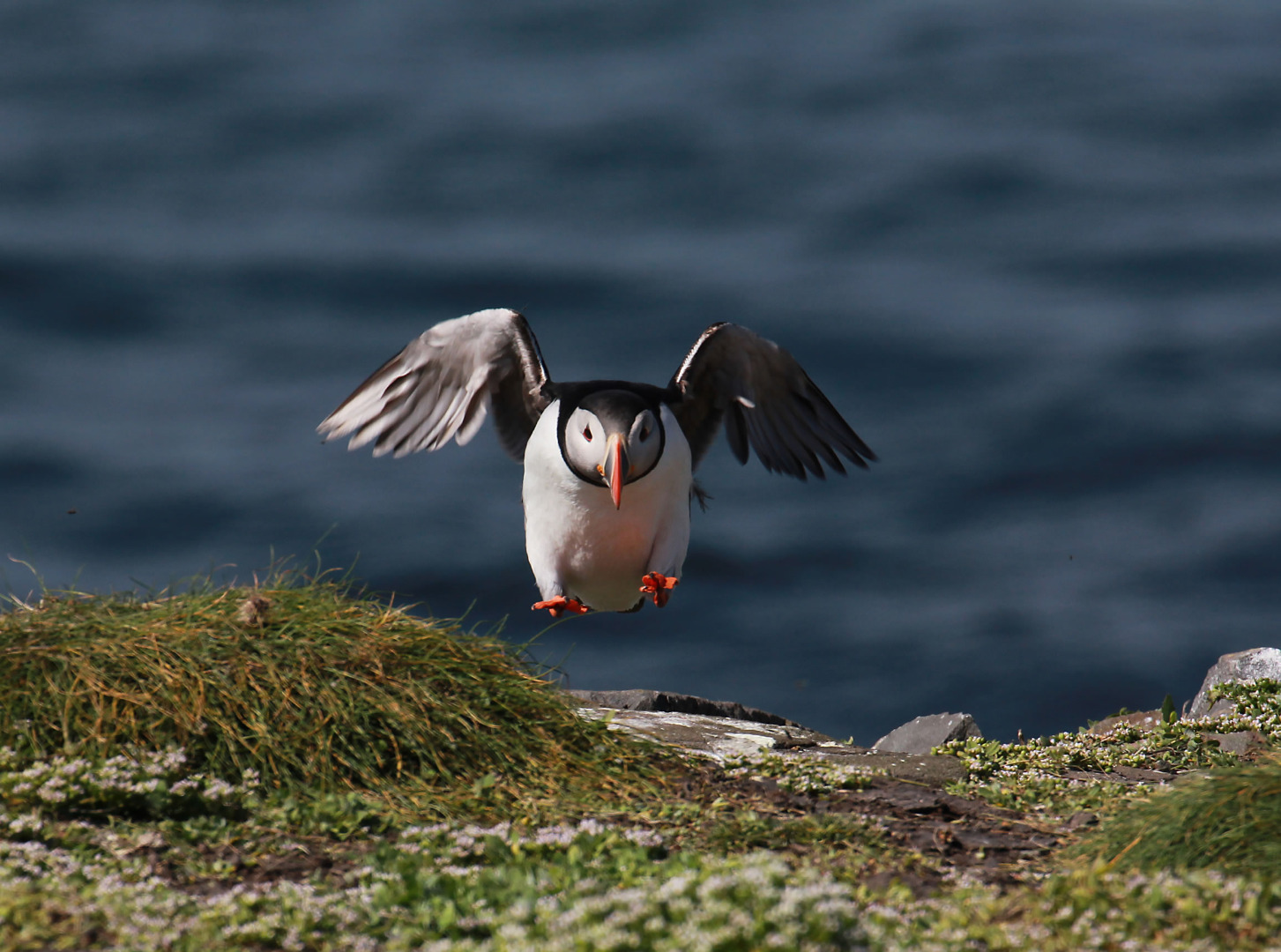 Top 10 Wildlife Watching Spots