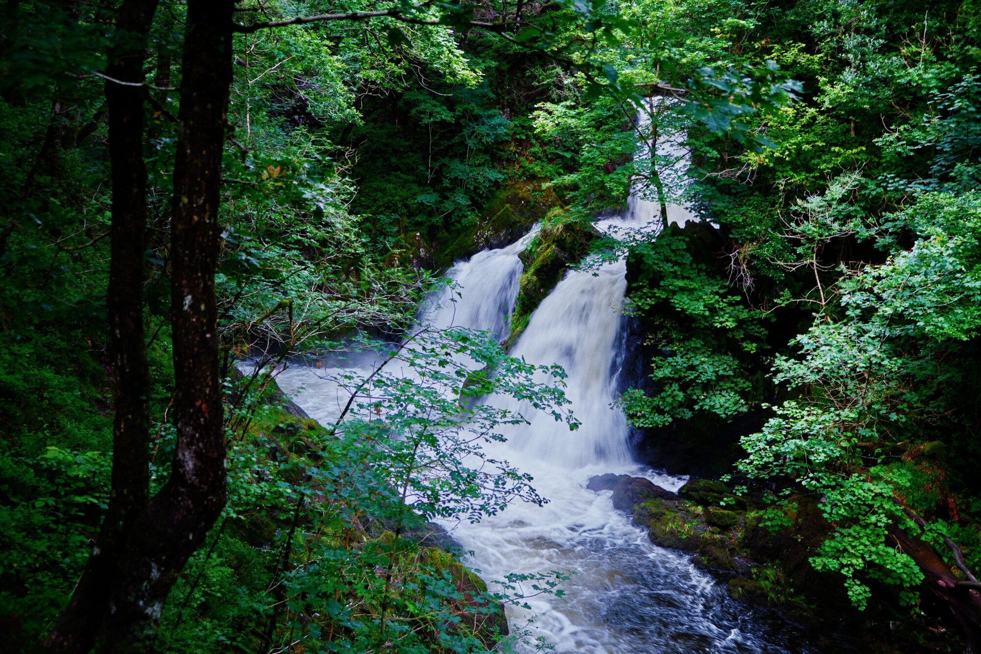 Hawes to Sedbusk Walk