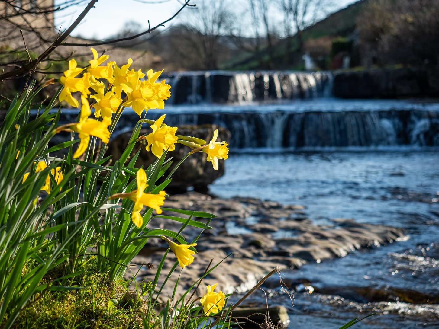 Weekly Newsletter - Friday 3rd March 2023