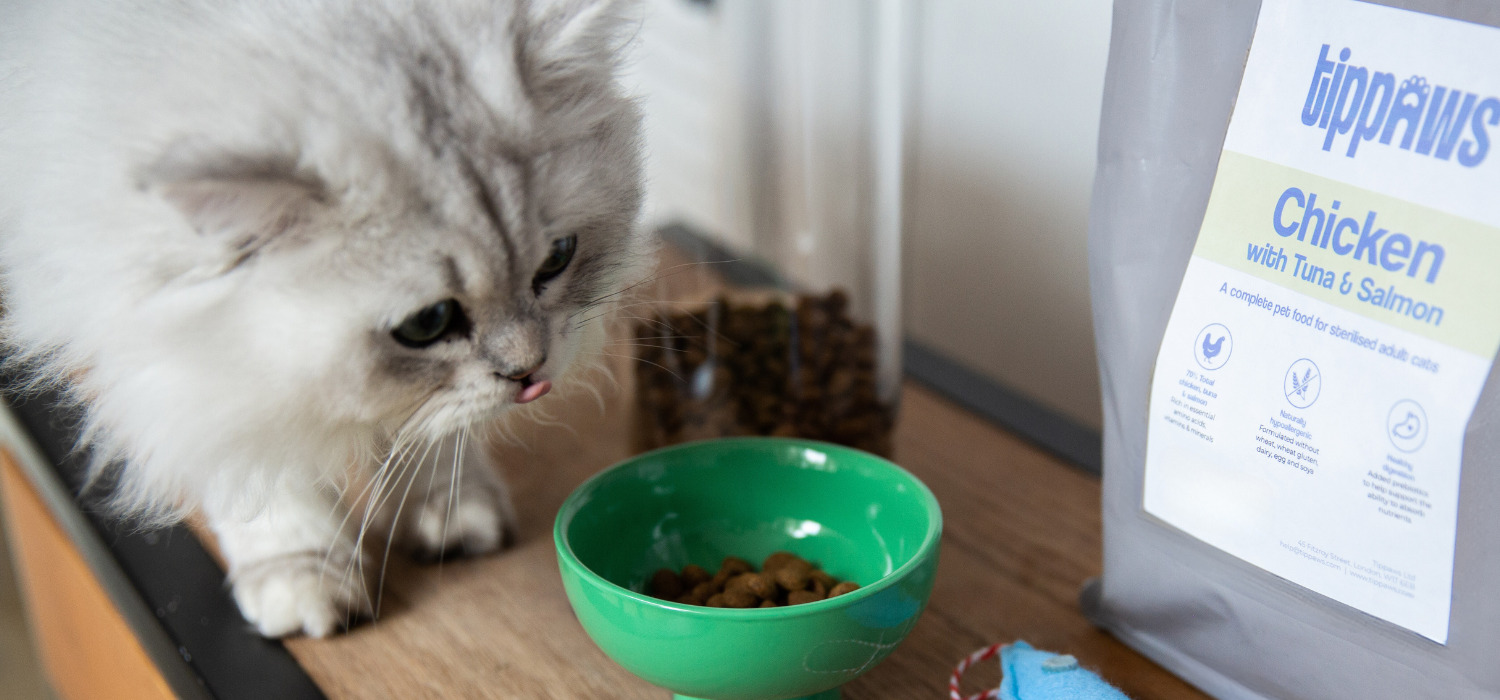 Purrfect Essentials Kit Giveaway: sponsored by Tippaws