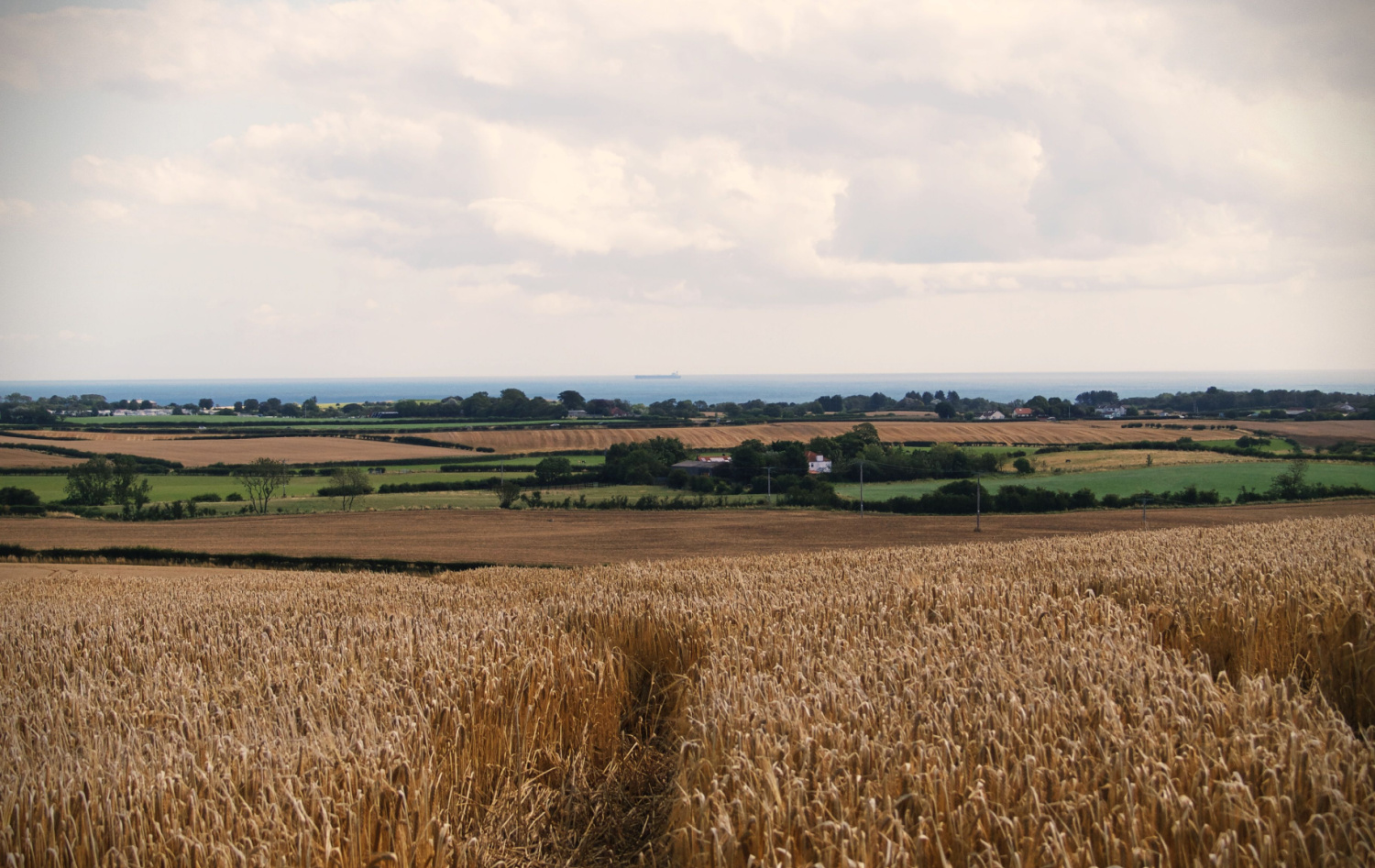 Walk: Hunmanby Circular Walk