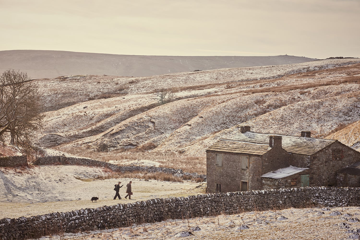 All Creatures Great & Small