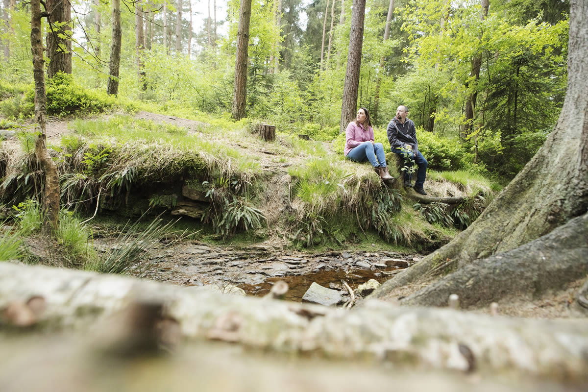 Walk: Cropton Forest