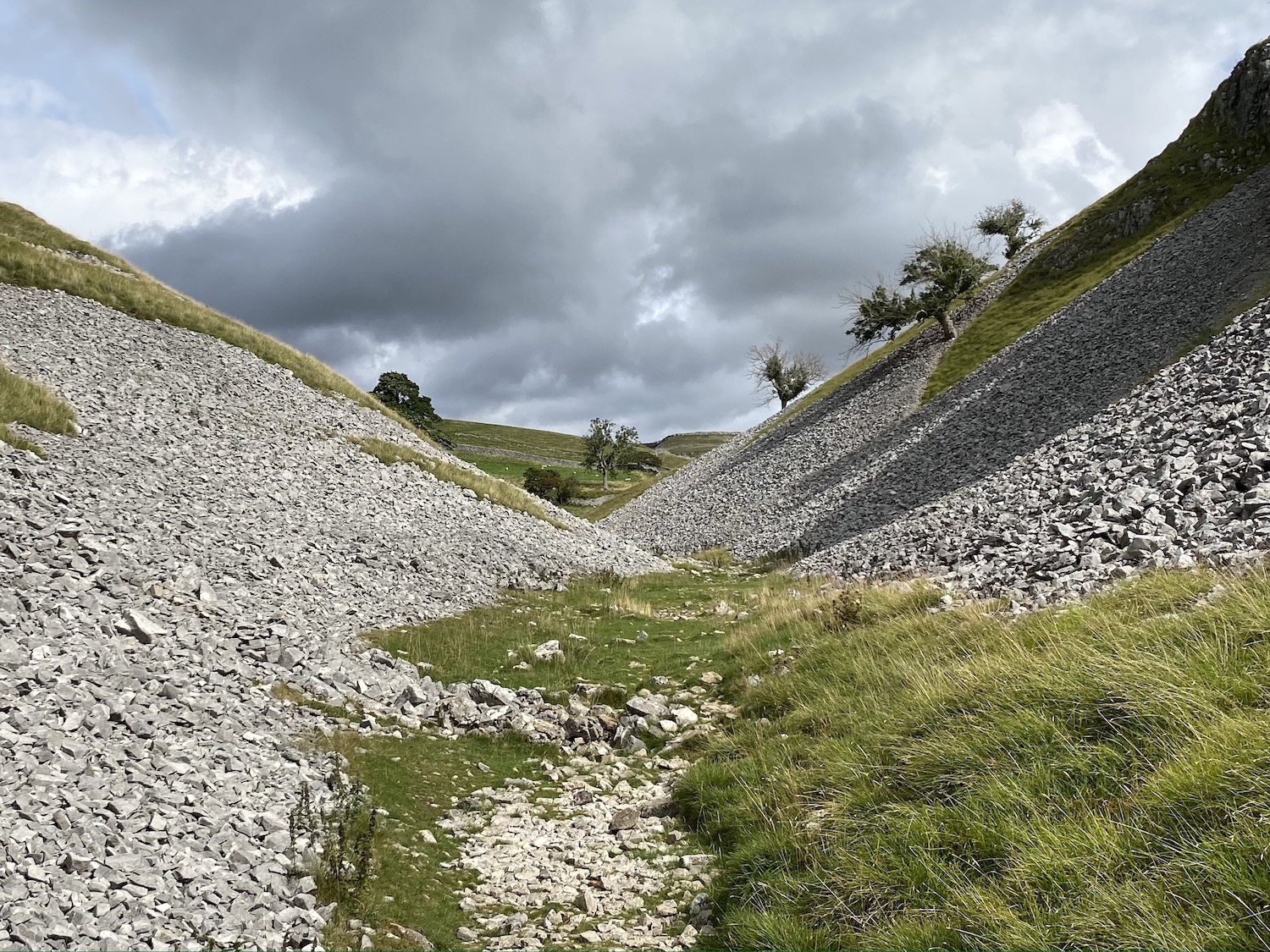 Walk: Grassington, Grass Wood, Conistone Dib and Lea Green