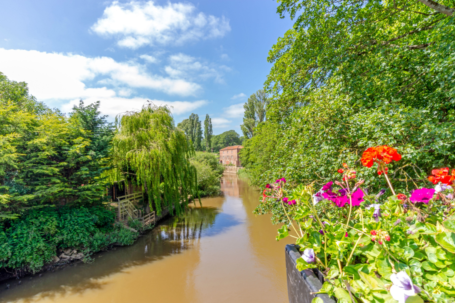 Walk: Norton and Auburn Hill