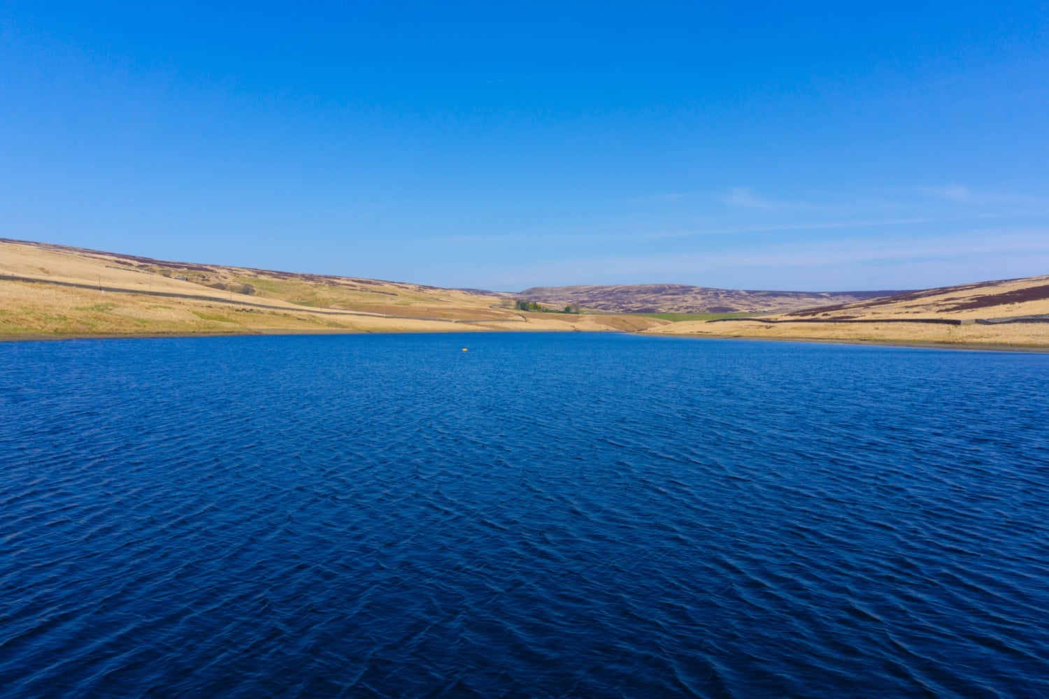 Newsletter: Friday 31st May 2024