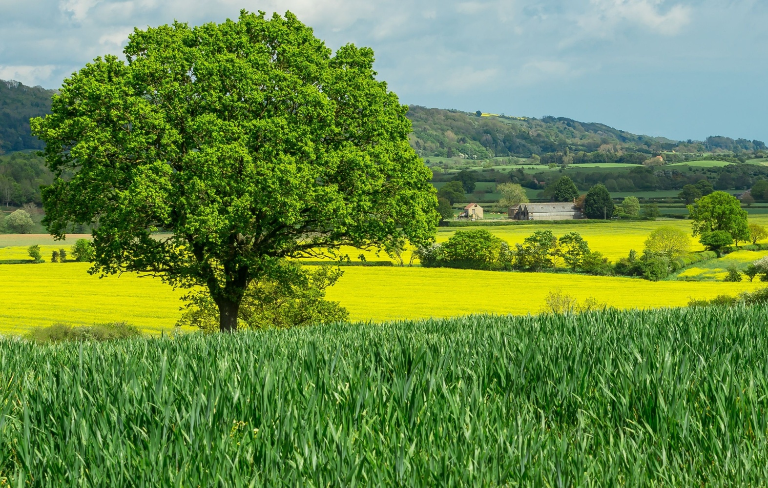 North Yorkshire Tourism Brought £4 Billion Last Year