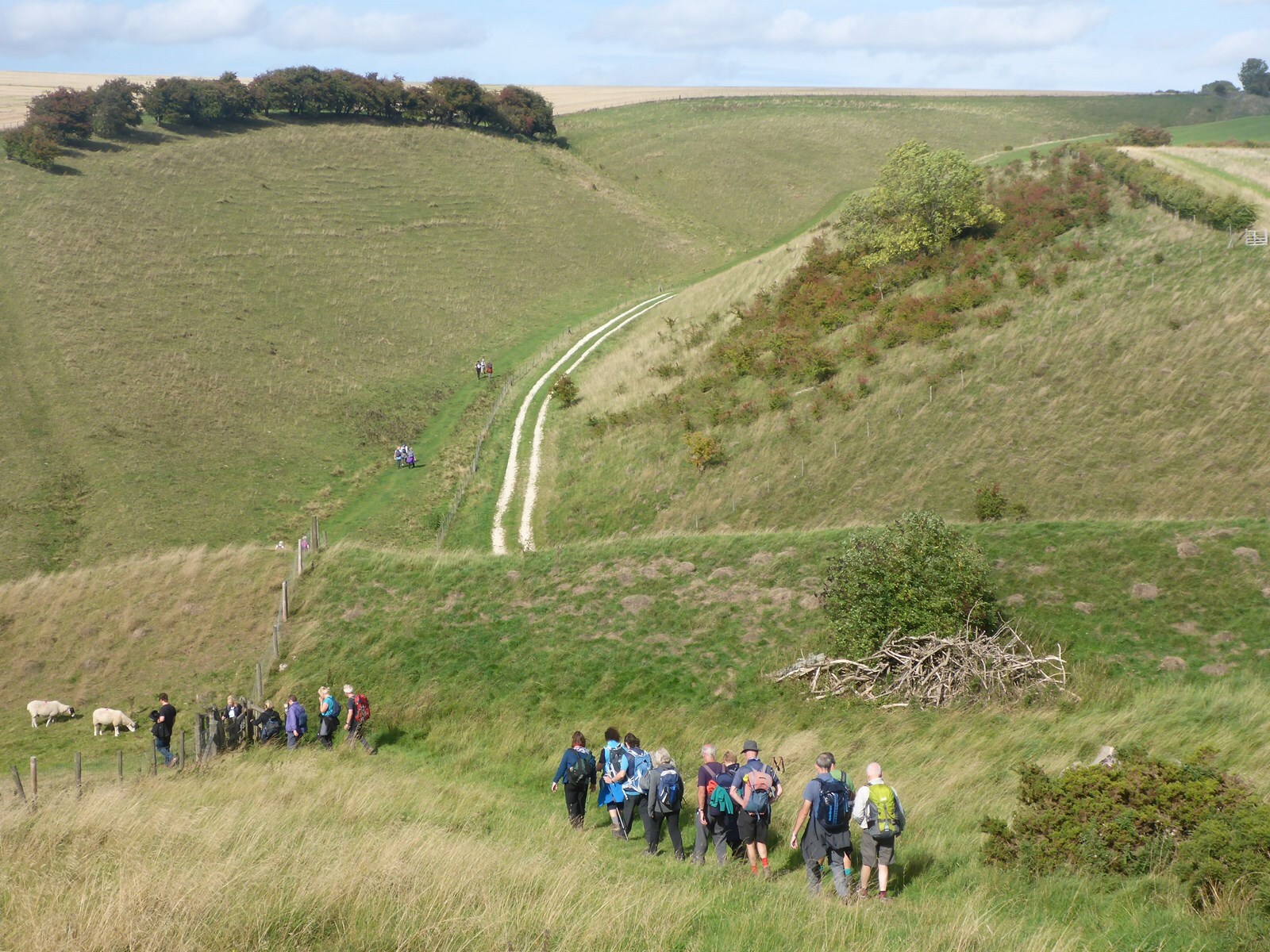 Discover the Charm of East Yorkshire: Walking Festival Returns with Unique Experiences