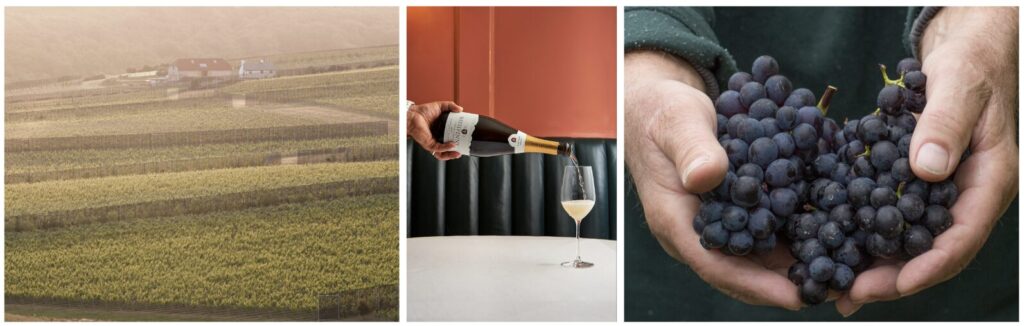 Rathfinny Wine Estate Marks 10th Harvest with Special Wine Dinners and Exclusive Events