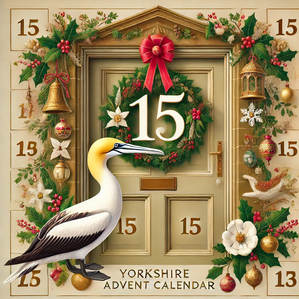 Day 15 – Christmas 2024