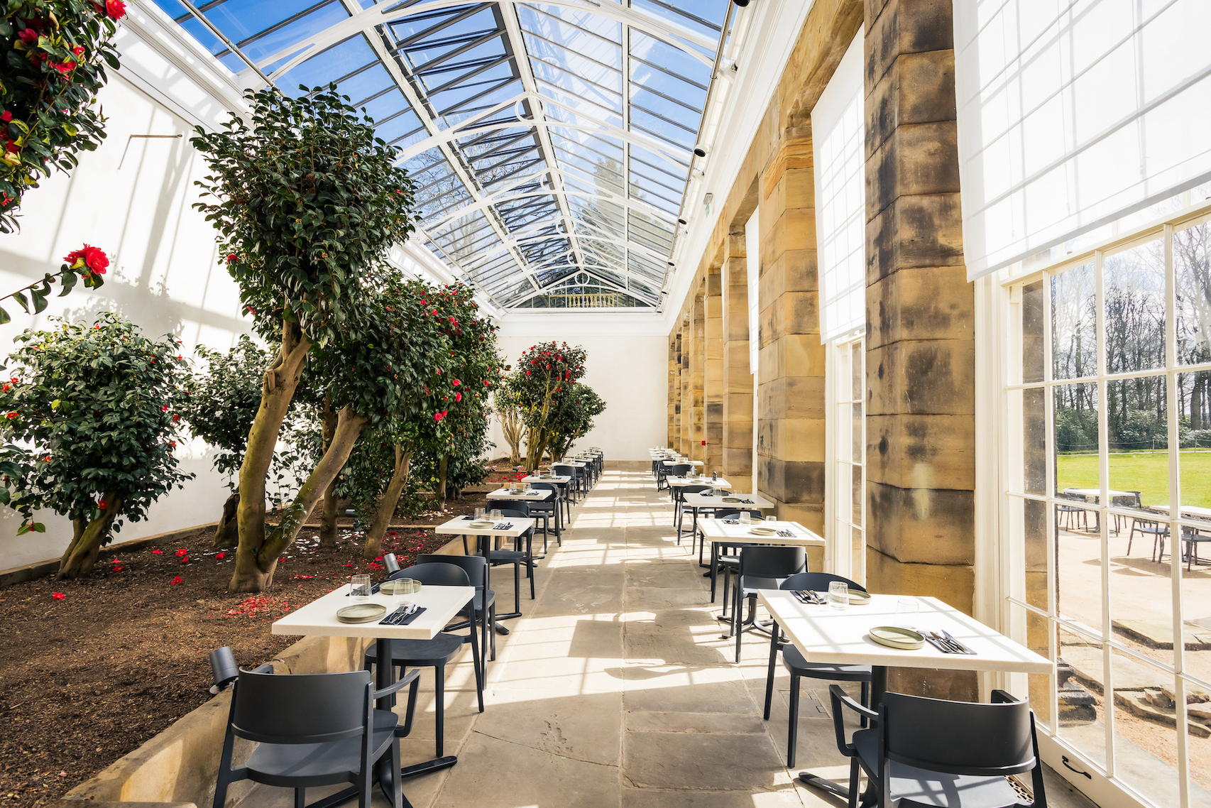 A Blooming Triumph: Wentworth Woodhouse’s Camellia House Wins Prestigious European Heritage Award