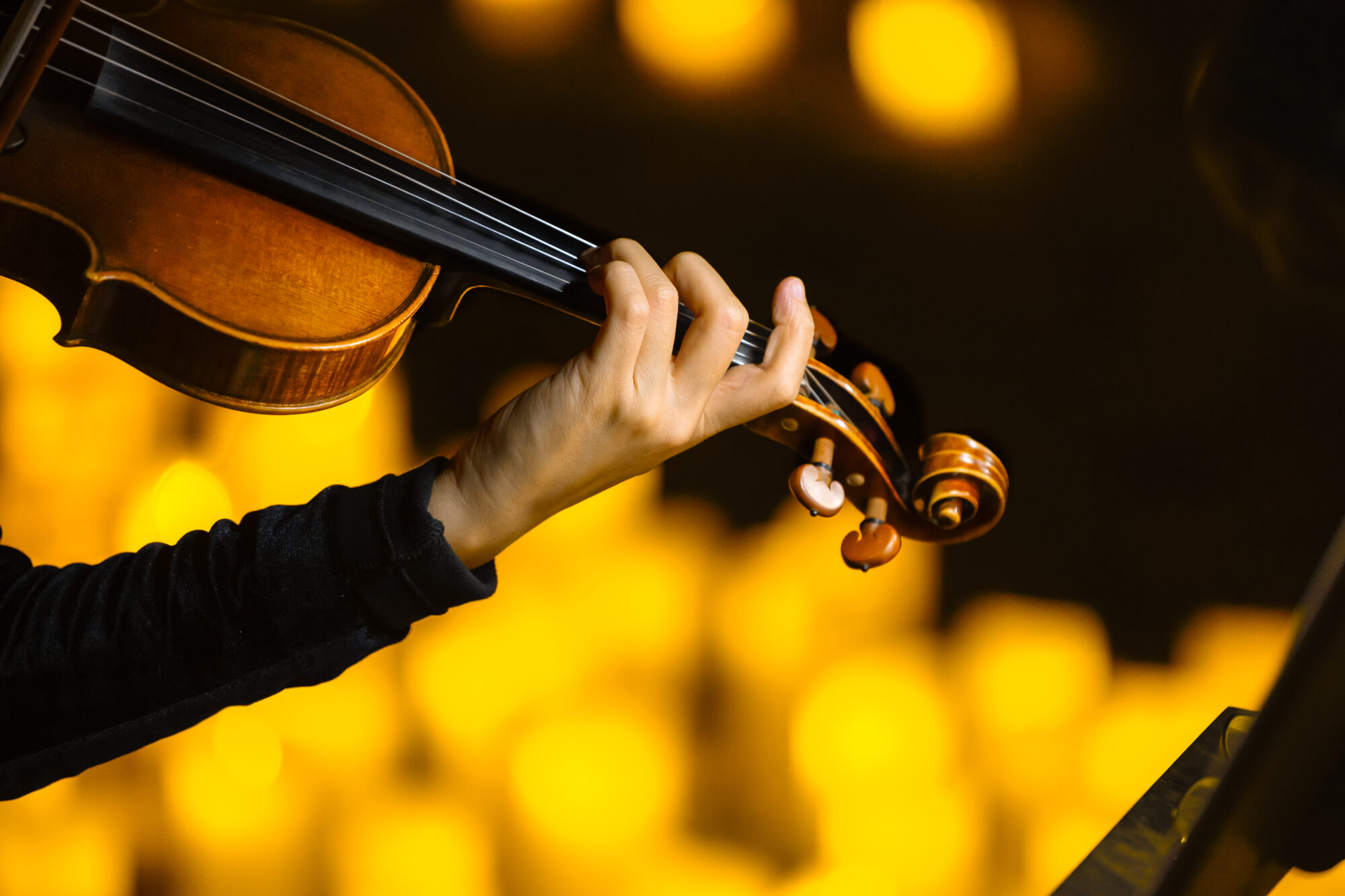 Where to Find the Bridgerton Candlelight Concert in York and Leeds