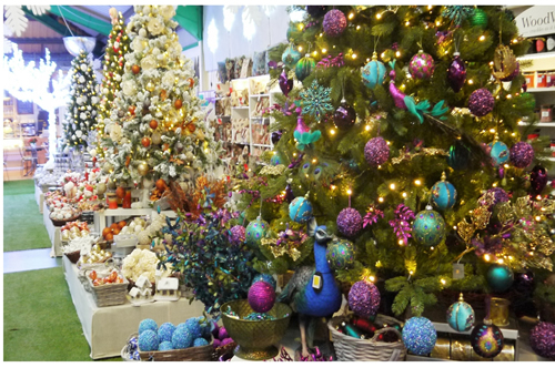 Ackworth Garden Centre