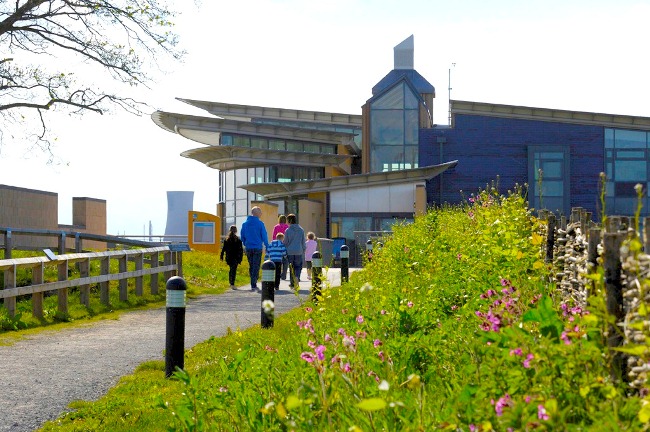 Visit RSPB Saltholme Nature Reserve