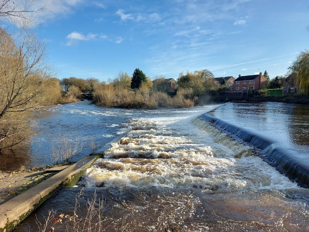 Salmon Ladder & Weir