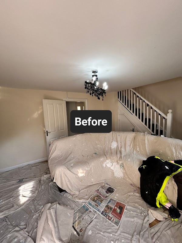 New Look Painting Services