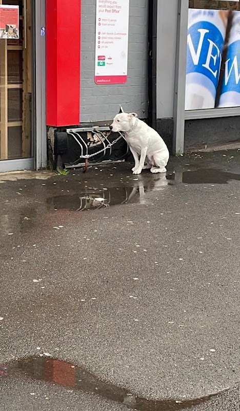 wilko Collection Point