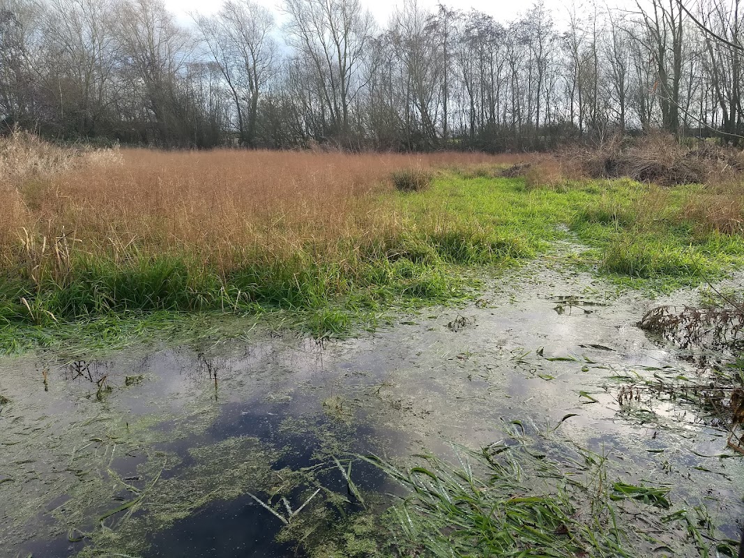 Goosemoor Nature Reserve