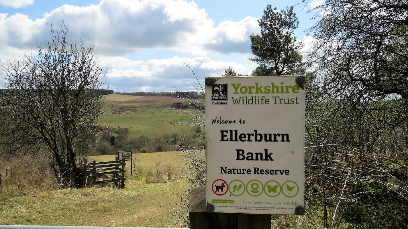 Ellerburn Bank Nature Reserve