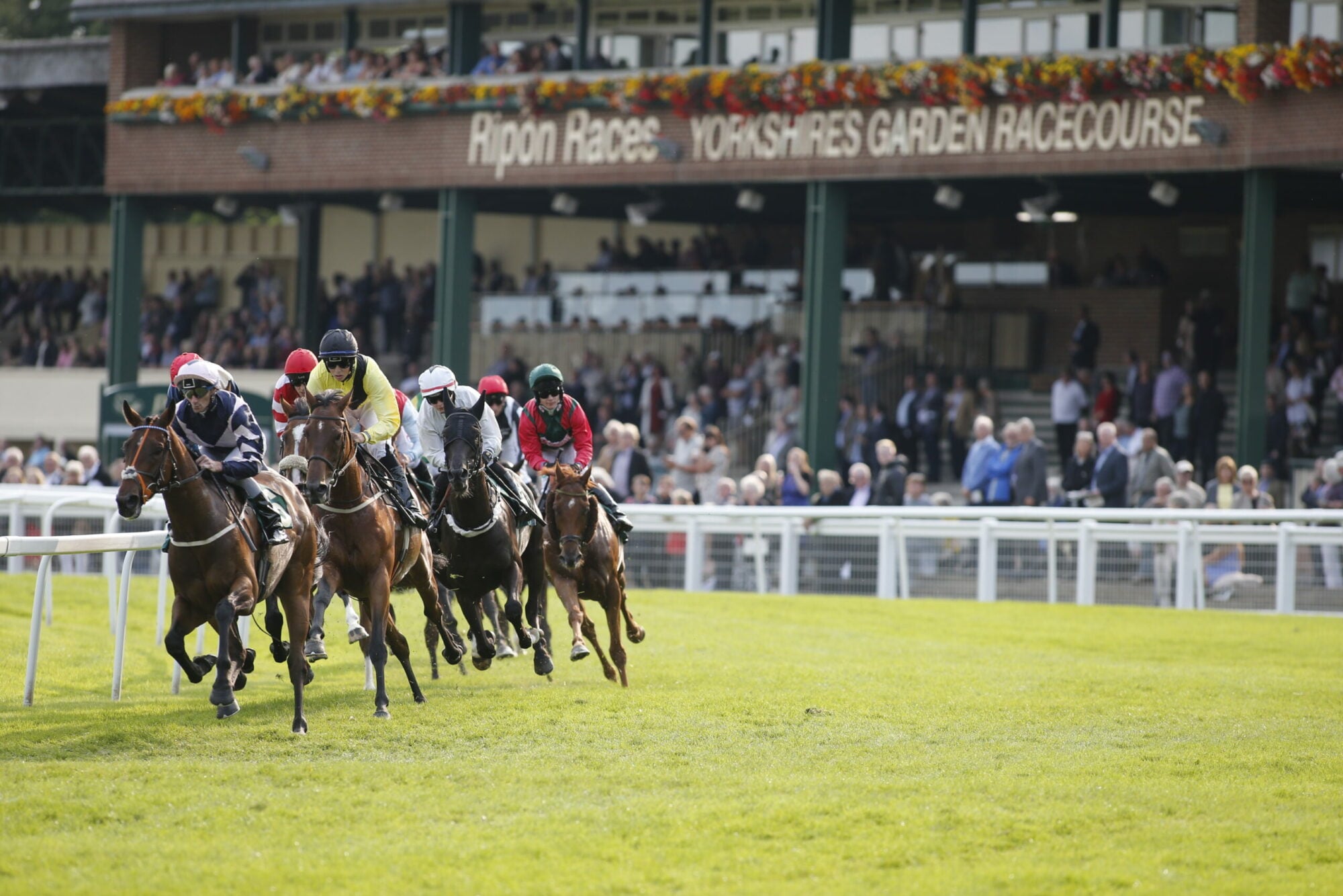 William Hill Great St Wilfrid