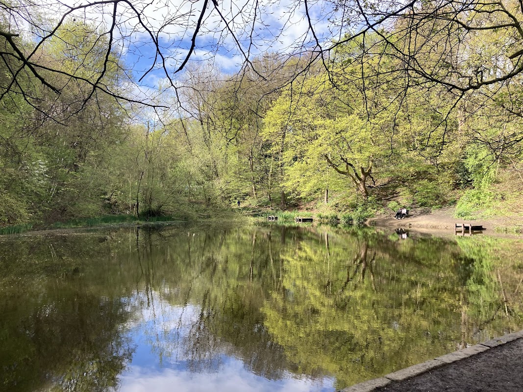 Gledholt Woods - TP Woods
