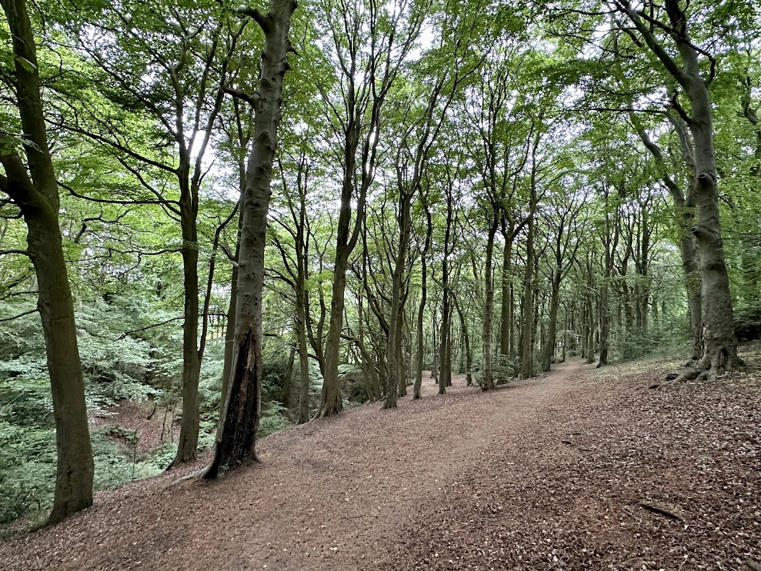 Longley Woods Nature Reserve