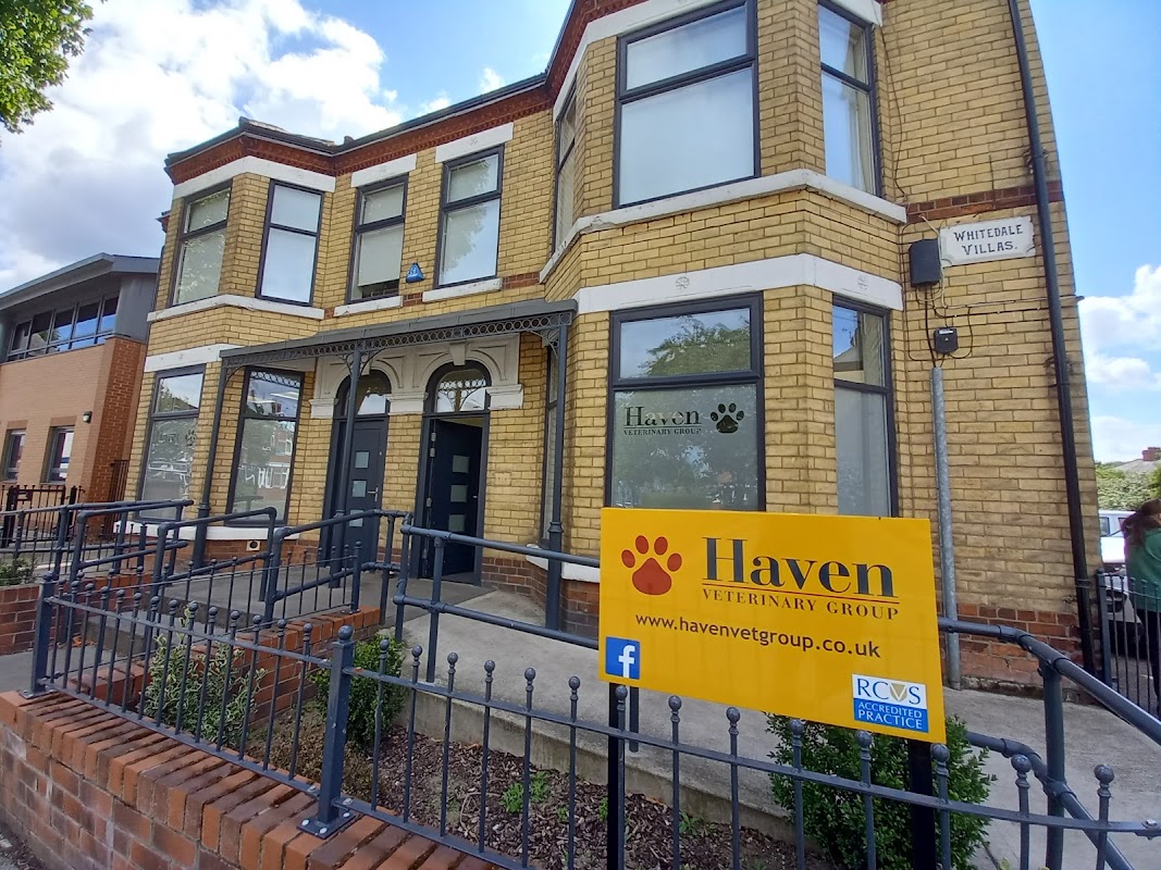 Haven Veterinary Group, Hull