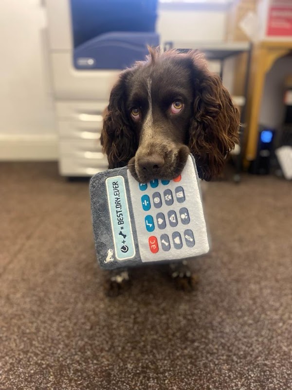 Leonard Bye Chartered Accountants