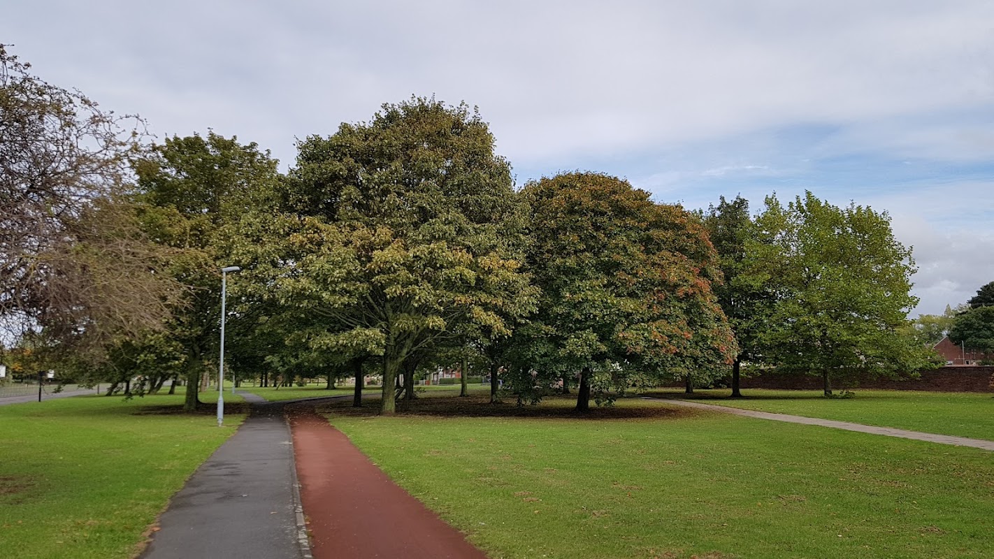 North Ormesby Park Space