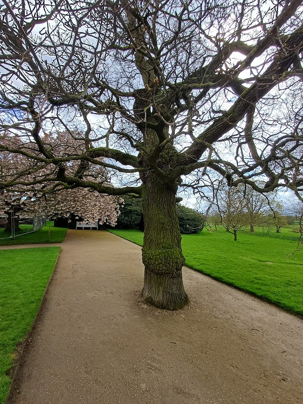 National Trust Car Park - Beningbrough