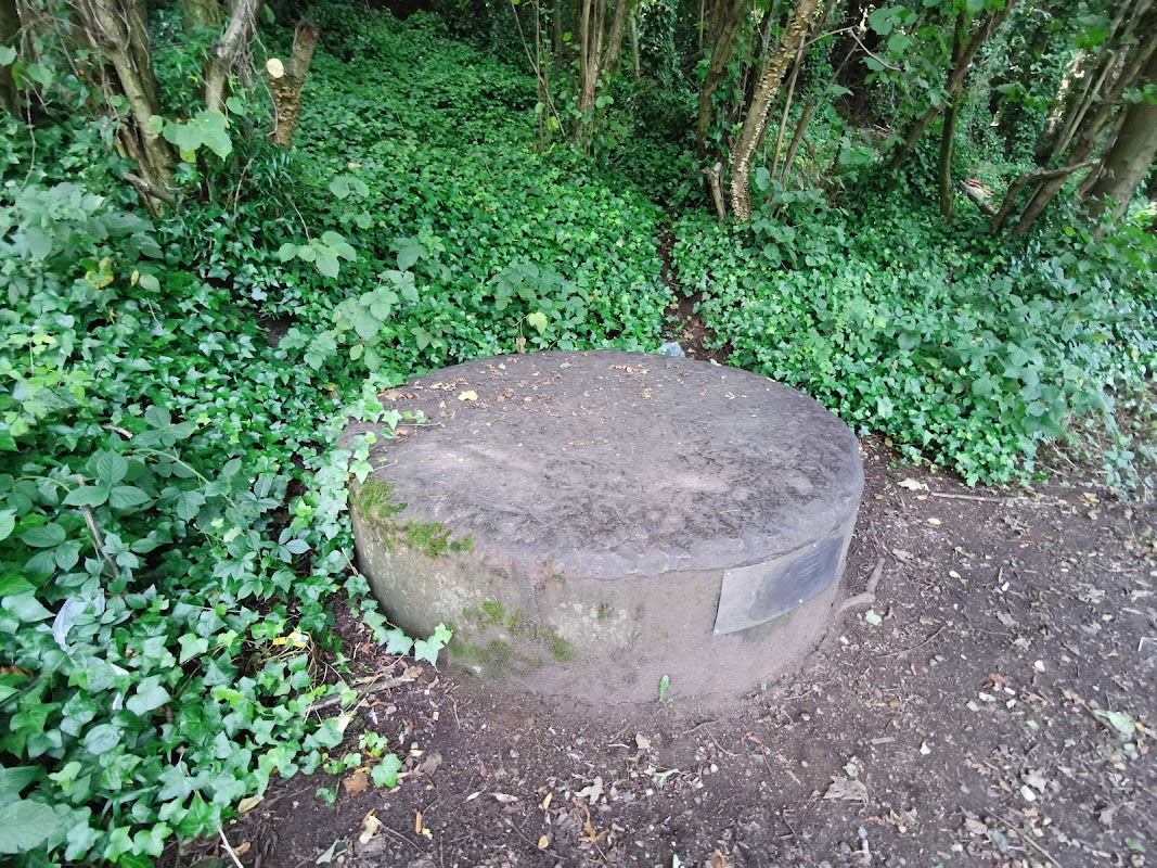 10 Ton Steel Plug Viewing Platform