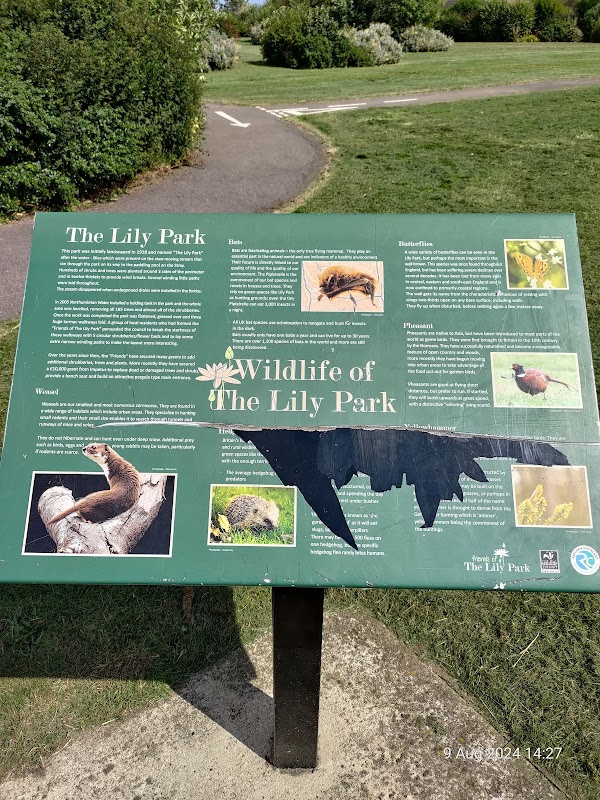 The Lily Park