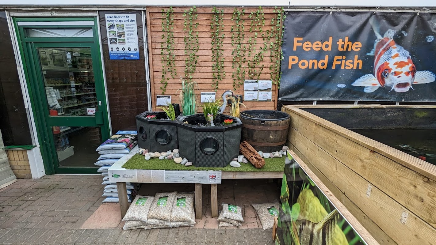 Maidenhead Aquatics Stockton