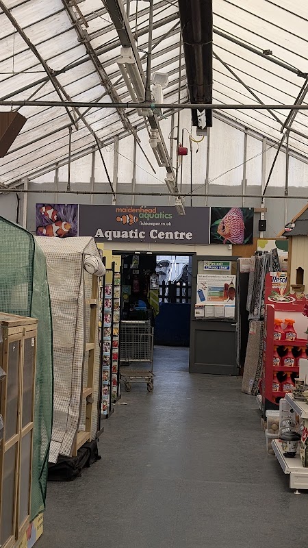 Maidenhead Aquatics York